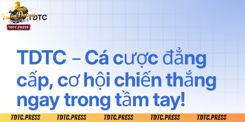 Bật mí thủ thuật để chơi TDTC bản quyền hiệu quả
