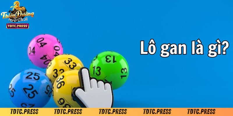 Đôi nét thông tin về lô gan miền Bắc