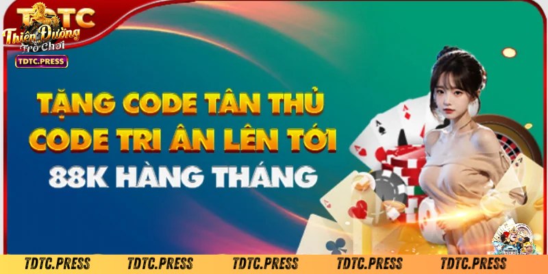Tìm hiểu thông tin về code TDTC